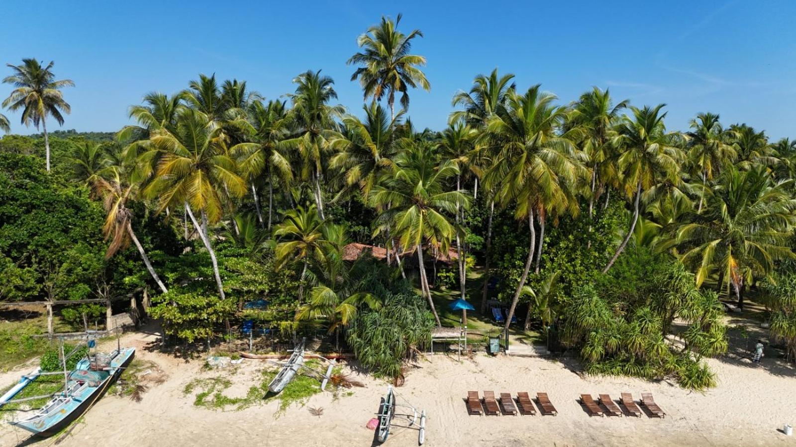 Esperanza Beach Mawella Otel Tangalle Dış mekan fotoğraf