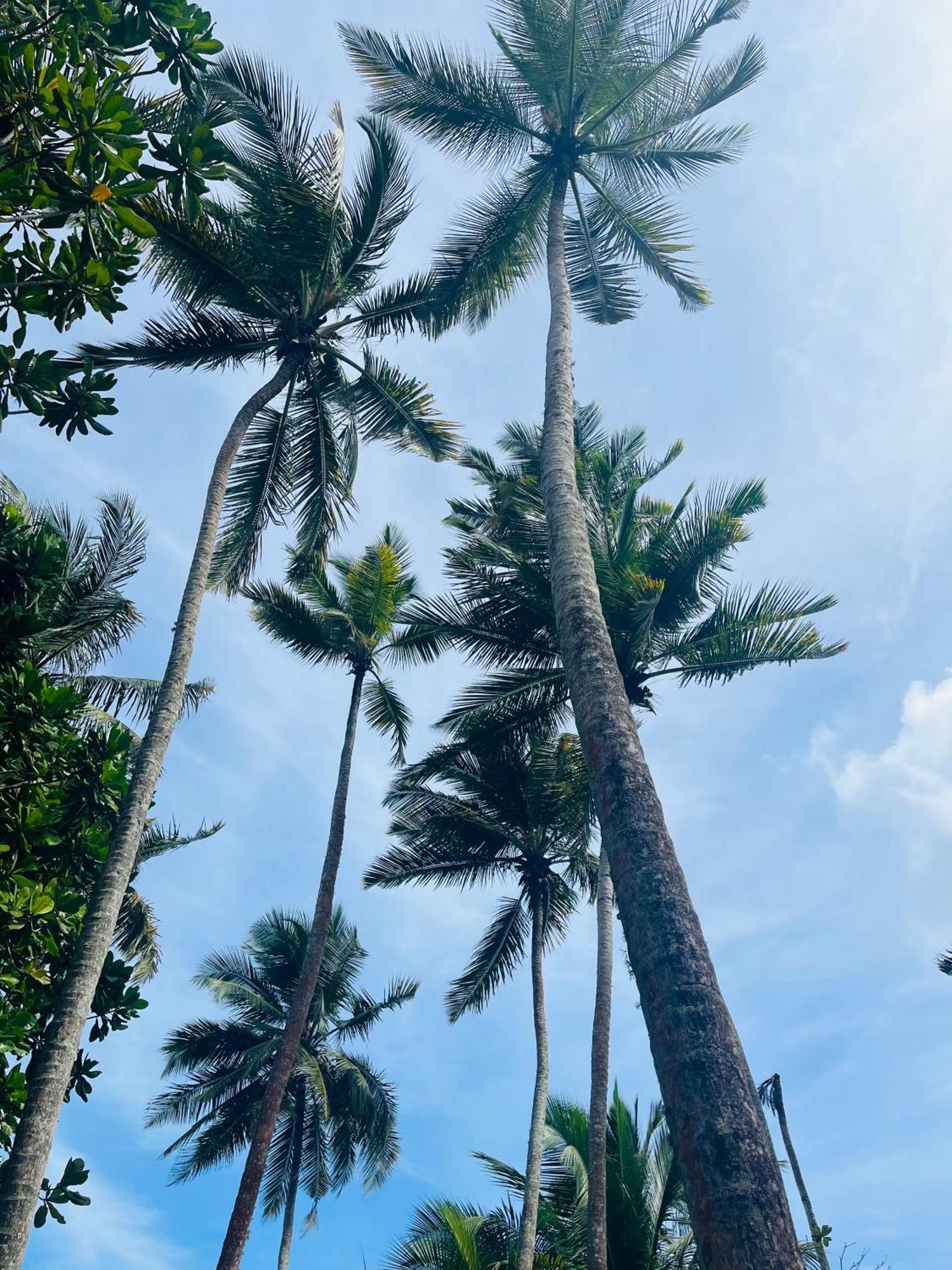 Esperanza Beach Mawella Otel Tangalle Dış mekan fotoğraf